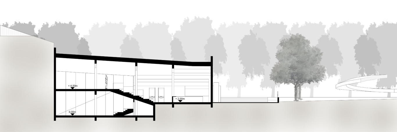 section