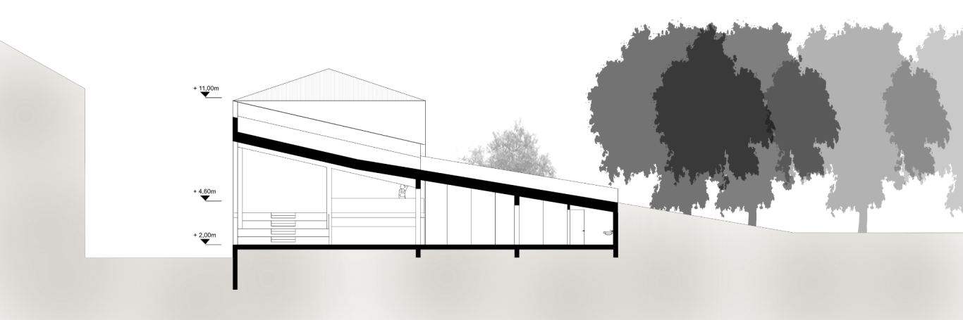 section