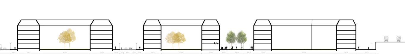 section