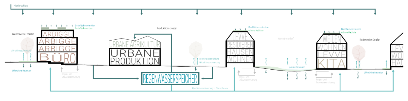 section