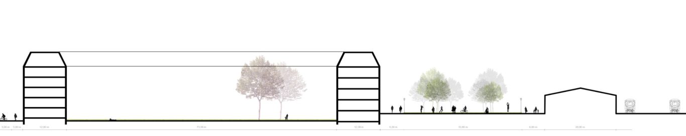 section